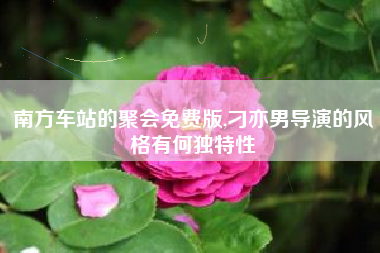 南方车站的聚会免费版,刁亦男导演的风格有何独特性