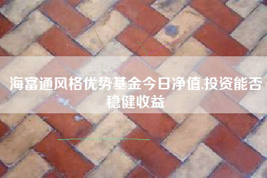 海富通风格优势基金今日净值,投资能否稳健收益