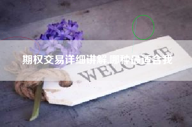 期权交易详细讲解,哪种最适合我