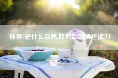 债券c是什么意思,如何影响偿还能力