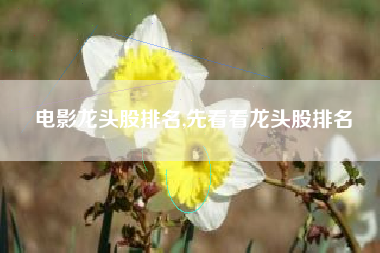 电影龙头股排名,先看看龙头股排名