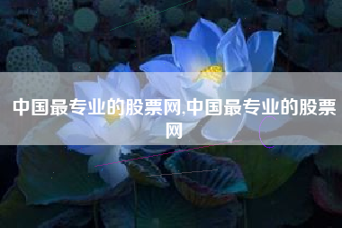 中国最专业的股票网,中国最专业的股票网