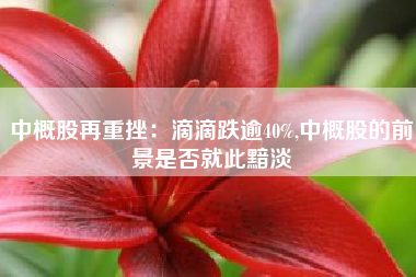 中概股再重挫：滴滴跌逾40%,中概股的前景是否就此黯淡