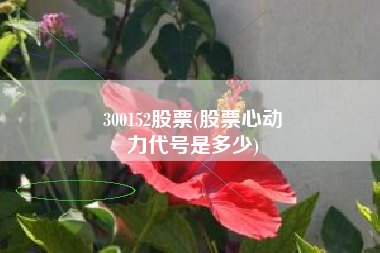 300152股票(股票心动
力代号是多少) 300152股票(股票心动
力代号是多少)