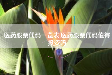 医药股票代码一览表,医药股票代码值得投资吗