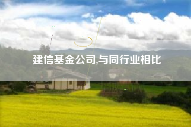 建信基金公司,与同行业相比