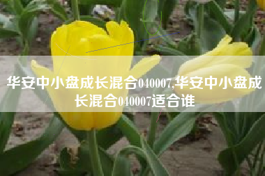 华安中小盘成长混合040007,华安中小盘成长混合040007适合谁