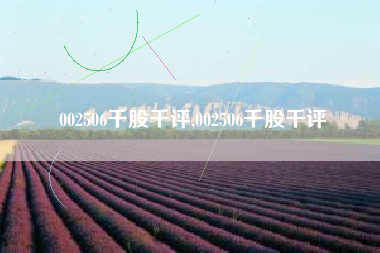 002506千股千评,002506千股千评