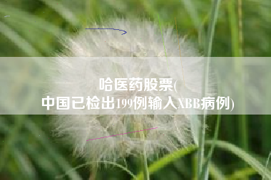哈医药股票(
中国已检出199例输入XBB病例)