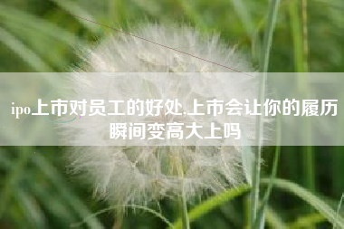 ipo上市对员工的好处,上市会让你的履历瞬间变高大上吗