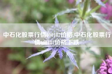 中石化股票行情600187价格,中石化股票行情600187价格下跌