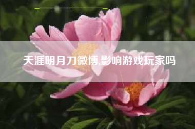 天涯明月刀微博,影响游戏玩家吗