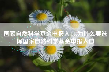 国家自然科学基金申报入口,为什么要选择国家自然科学基金申报入口