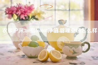 农银沪深300指660008净值,管理业绩怎么样