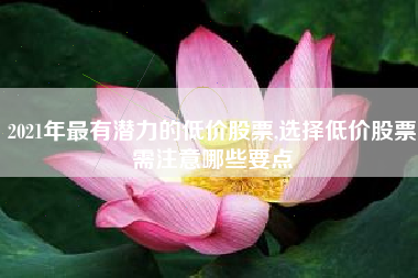2021年最有潜力的低价股票,选择低价股票需注意哪些要点