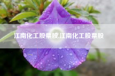 江南化工股票股,江南化工股票股