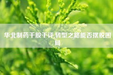 华北制药千股千评,转型之路能否摆脱困局