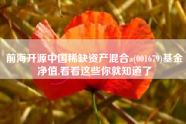 前海开源中国稀缺资产混合a(001679)基金净值,看看这些你就知道了