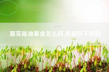 嘉实原油基金怎么样,表现好不好呀