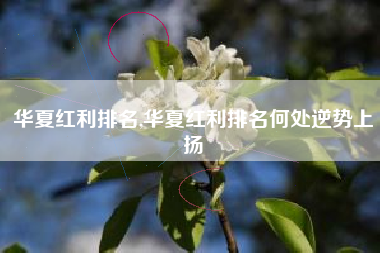 华夏红利排名,华夏红利排名何处逆势上扬