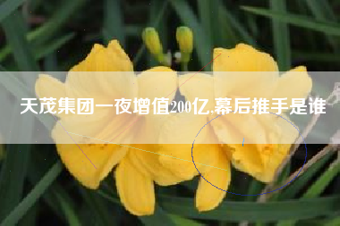 天茂集团一夜增值200亿,幕后推手是谁
