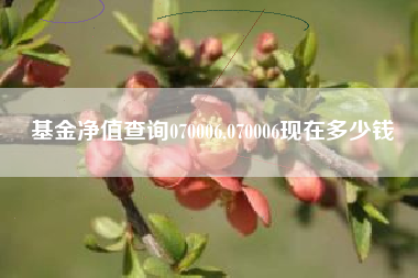 基金净值查询070006,070006现在多少钱