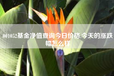 001052基金净值查询今日价格,今天的涨跌幅怎么样