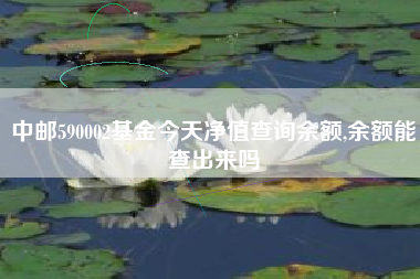 中邮590002基金今天净值查询余额,余额能查出来吗