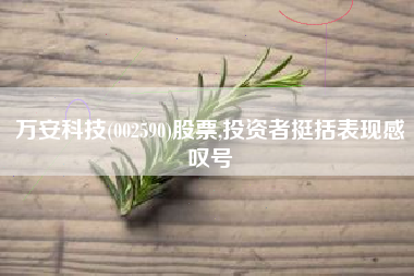 万安科技(002590)股票,投资者挺括表现感叹号