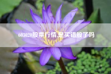 603020股票行情,是买错股了吗