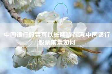 中国银行股票可以长期持有吗,中国银行股票前景如何