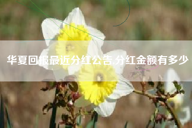 华夏回报最近分红公告,分红金额有多少