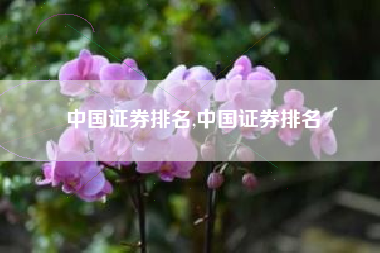 中国证券排名,中国证券排名