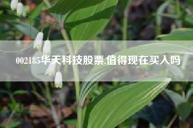 002185华天科技股票,值得现在买入吗