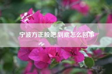 宁波方正股吧,到底怎么回事