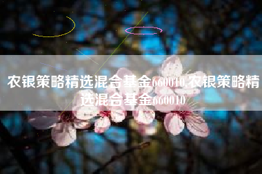 农银策略精选混合基金660010,农银策略精选混合基金660010