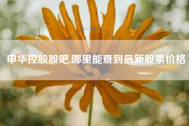 申华控股股吧,哪里能查到最新股票价格