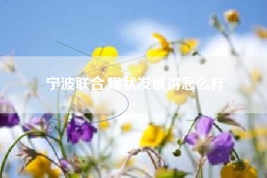 宁波联合,现状发展得怎么样