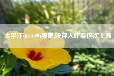 太平洋(601099)股吧,股评人咋看这次上涨