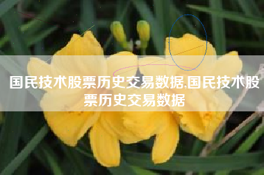 国民技术股票历史交易数据,国民技术股票历史交易数据