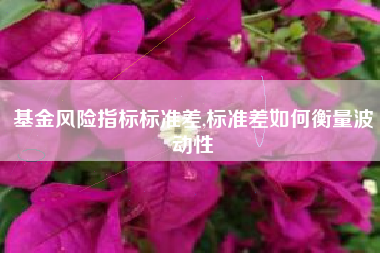 基金风险指标标准差,标准差如何衡量波动性