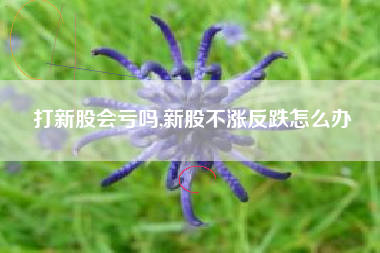 打新股会亏吗,新股不涨反跌怎么办