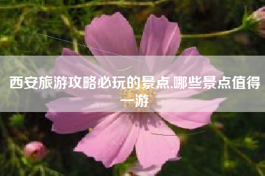 西安旅游攻略必玩的景点,哪些景点值得一游