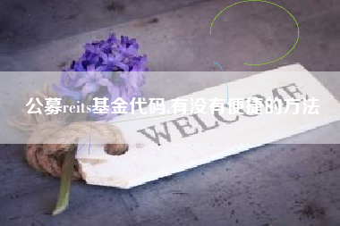 公募reits基金代码,有没有便捷的方法