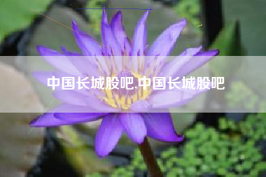中国长城股吧,中国长城股吧