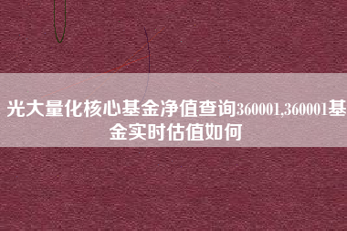 光大量化核心基金净值查询360001,360001基金实时估值如何