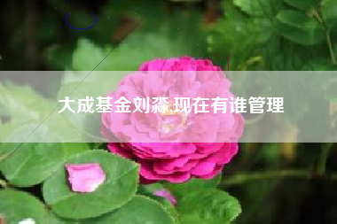 大成基金刘淼,现在有谁管理