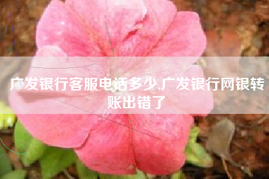 广发银行客服电话多少,广发银行网银转账出错了