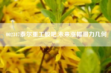 002347泰尔重工股吧,未来涨幅潜力几何