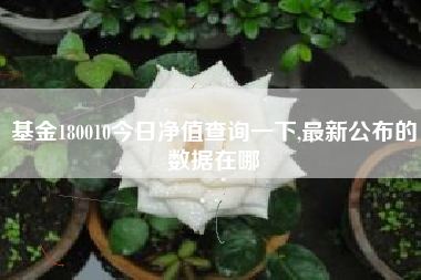 基金180010今日净值查询一下,最新公布的数据在哪